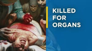 What is forced organ harvesting?