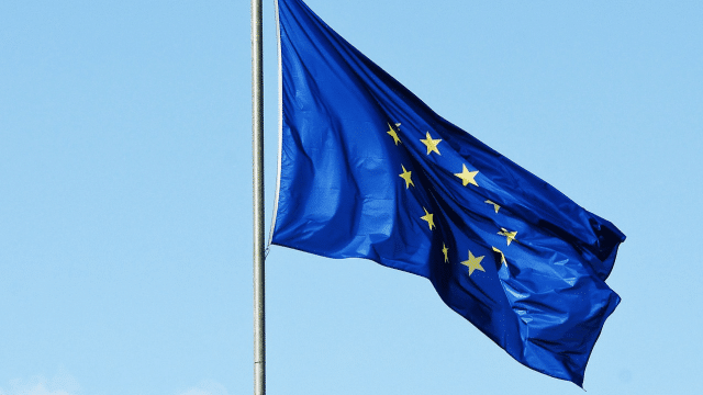 The flag of the European Union. Photograph: Pixabay/@gregroose.