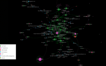 Comprehensive Visualization of the Chinese Ecosystem of Domains and Businesses (Credit: Graphika)
